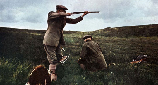 Grouse Shooting